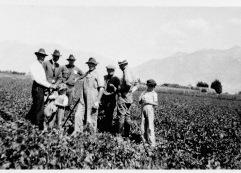 A group of people standing in a field.