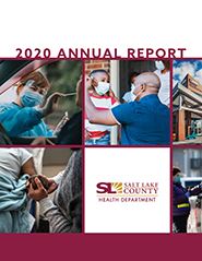 Image of 2020 annual report cover