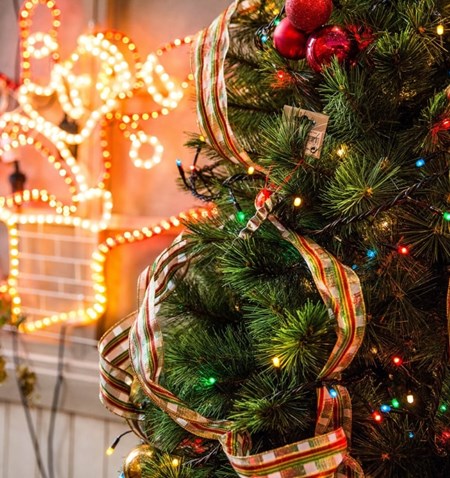 A christmas tree with lights.